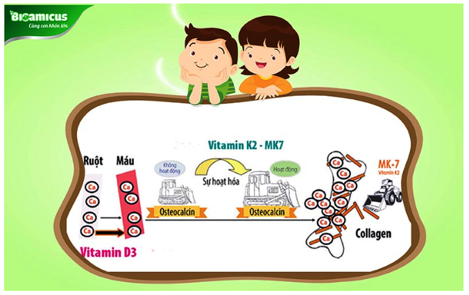 Vitamin D3 K2 cho bé 1 tuổi có vai trò thúc đẩy xương răng phát triển khoẻ mạnh