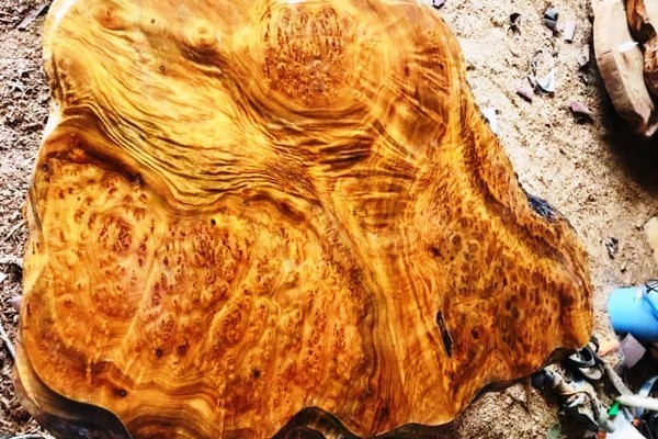 Top 9 loại gỗ có mùi thơm tự nhiên tốt cho sức khỏe quý hiếm nhất hiện nay