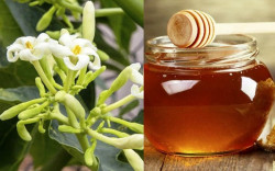 Cách làm hoa đu đủ đực ngâm mật ong chữa ho cực tốt, dễ thực hiện