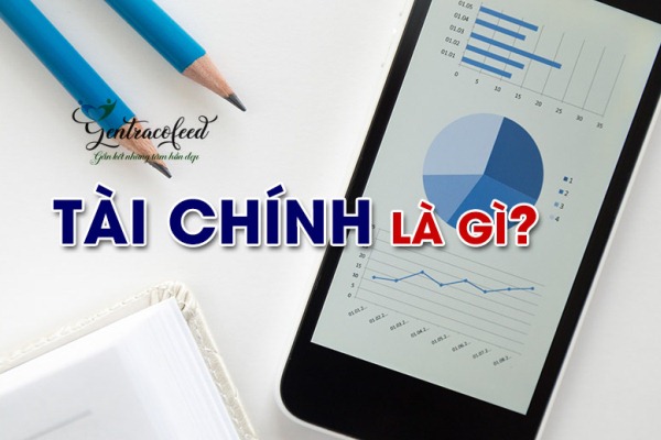 Tài chính là gì? Bản chất và chức năng của tài chính gồm những gì?