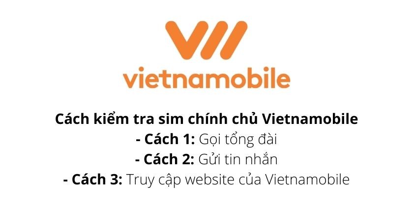 Kiểm tra, đăng ký sim chính chủ Viettel, Vina, Vinaphone, Vietnamobile tại nhà