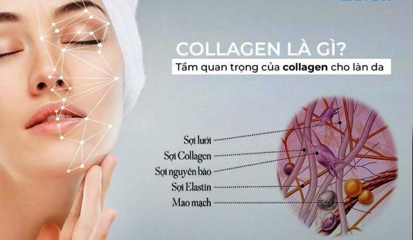 Phương pháp giúp cơ thể kích thích sản xuất collagen tự nhiên chống lão hóa
