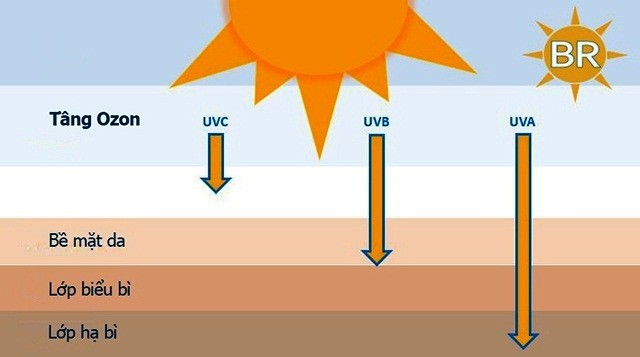 Tia UV là gì? - Tác hại của tia UV và biện pháp ngăn chặn