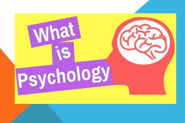 What is Psychology? Top 4 Things to Know About Psychology