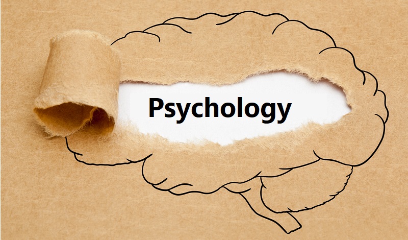 What is Psychology? Top 4 Things to Know About Psychology