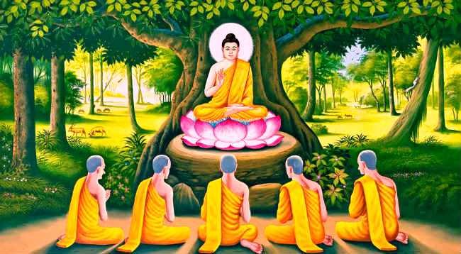 Vì sao Đức Phật - Bồ Tát ngồi trên hoa sen mà không phải loài hoa khác?