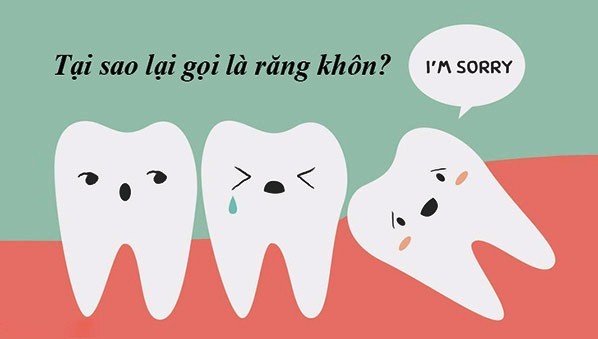 Tại sao gọi là răng khôn? Một người có bao nhiêu răng khôn?
