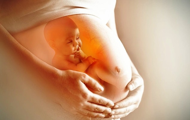 Phụ nữ mang thai có nên ăn rau bina không?