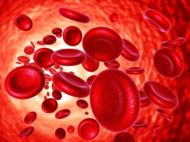 Cảnh báo những triệu chứng của bệnh thiếu máu bạn cần biết