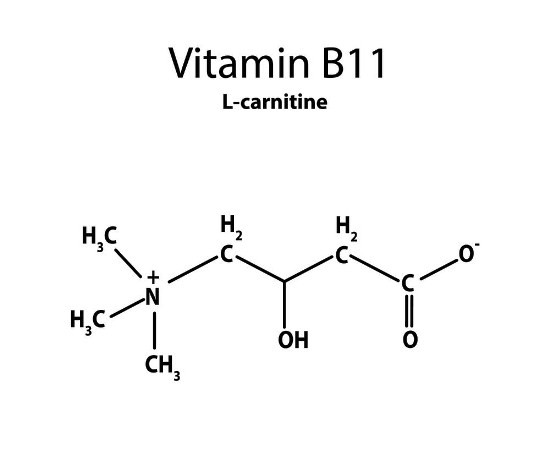 Vitamin B11 là gì? Những thực phẩm nào giàu vitamin B11 có thể bạn chưa biêt?