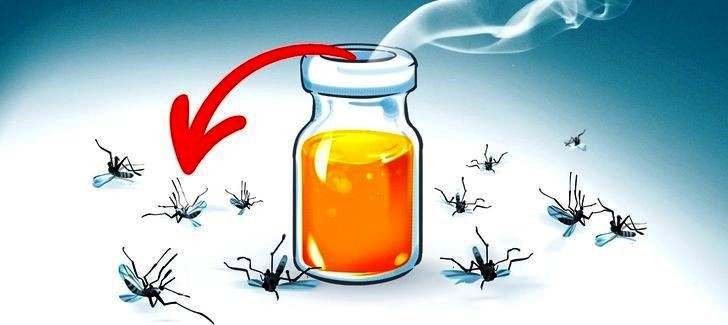 10 loại tinh dầu có tác dụng diệt muỗi, bạn có thể tự làm tại nhà