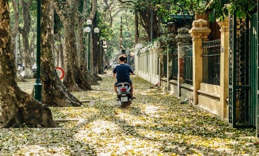 Top 10 picturesque roads in Vietnam that everyone wants to visit once