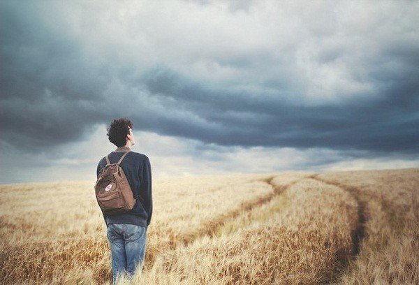 Phân tích tổng hợp tử vi 12 con giáp năm 2026 Bính Ngọ - sự dịch chuyển mạnh mẽ