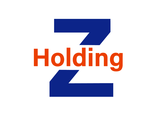 Review Công Ty Z Holding - về môi trường làm việc và thu nhập nhân viên