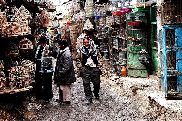 Chợ cô dâu, bùa ngải và các khu chợ khác thường nhất thế giới