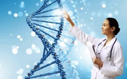 ADN là gì? Xét nghiệm ADN có chính xác không? ADN tiếng Anh là gì?