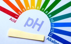 Nồng độ PH là gì - Độ PH tối ưu với sức khỏe con người là bao nhiêu