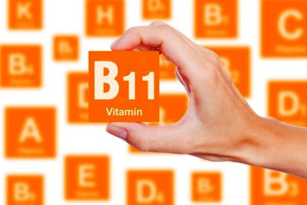 Vitamin B11 là gì? có tác dụng gì? Những thực phẩm giàu Vitamin B11 nhất