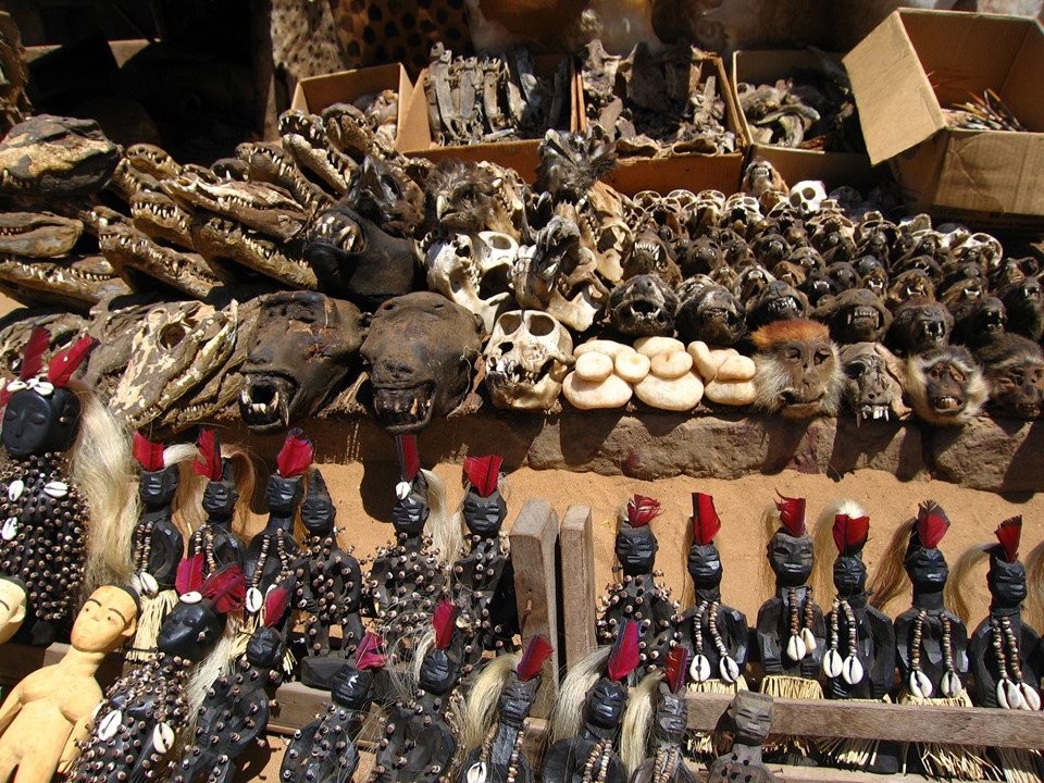 Cảnh tượng ám ảnh tại chợ bùa ngải lớn nhất thế giới ở châu Phi