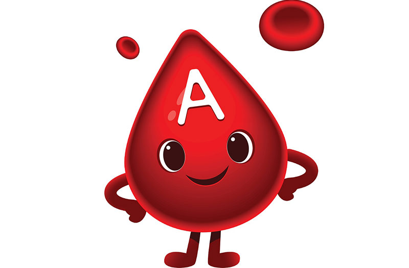 Giải mã tính cách và ngành nghề phù hợp với bạn thông qua nhóm máu