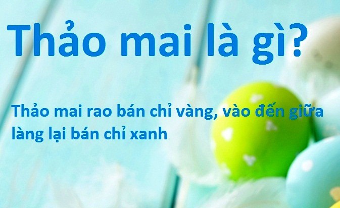 Thảo mai là gì? Thảo mai tiếng Anh là gì? Dấu hiệu nhận biết người thảo mai chuẩn xác đến 99%