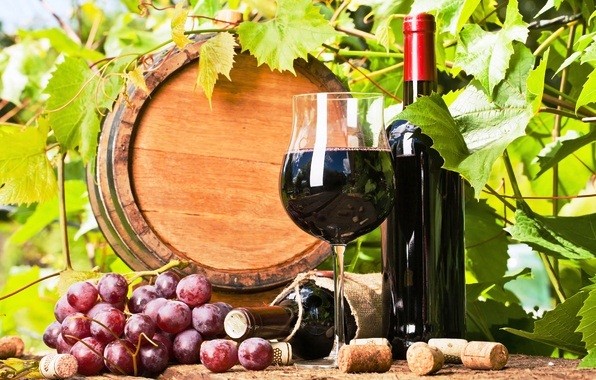 Lịch sử về rượu vang, rượu vang là gì? Thông tin cơ bản về rượu vang bạn nên biết