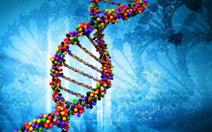 ADN là gì? Chức năng của ADN, xét nghiệm ADN có chính xác không?