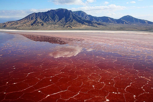 Bí ẩn hồ nước màu đỏ như máu, sinh vật nào sảy chân rơi xuống cũng lập tức 