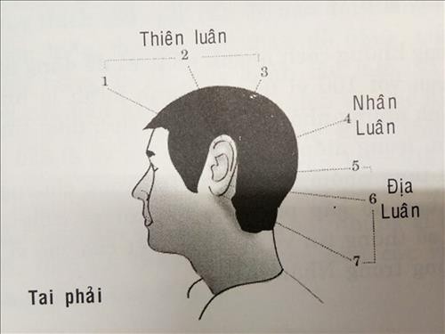 Vận số tuổi niên thiếu: Đôi tai nói lên số mệnh cuộc đời