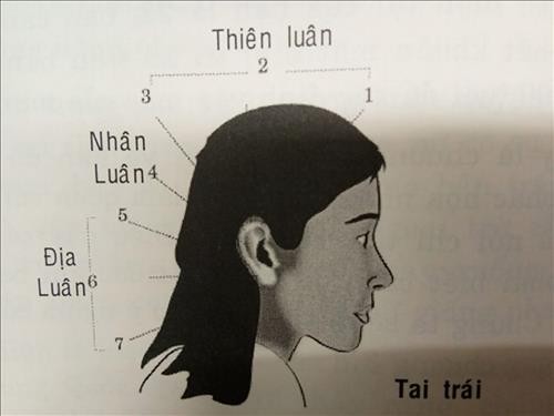 Vận số tuổi niên thiếu: Đôi tai nói lên số mệnh cuộc đời