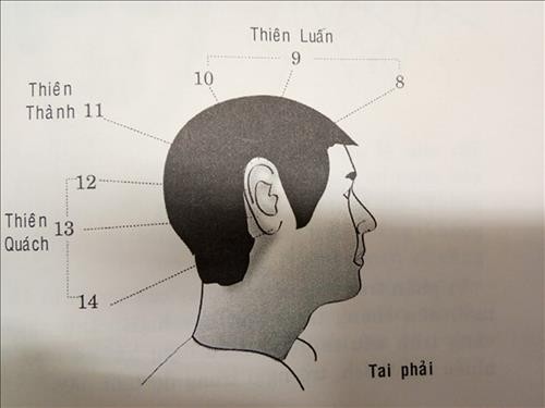 Vận số tuổi niên thiếu: Đôi tai nói lên số mệnh cuộc đời
