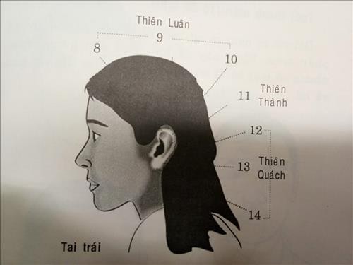 Vận số tuổi niên thiếu: Đôi tai nói lên số mệnh cuộc đời