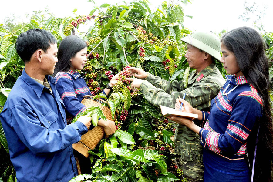 Định Nghĩa Năng Lực Cạnh Tranh là gì? Tiêu chí đánh giá năng lực cạnh tranh