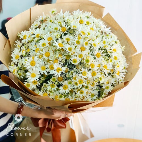 Cúc họa mi tiếng Nhật là gì? Cách cắm hoa đơn giản nhưng vô cùng đẹp, tươi lâu