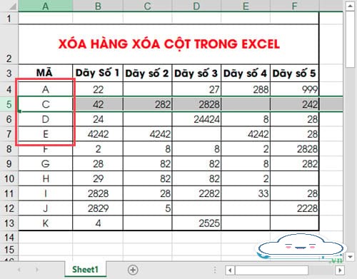 Cách xoá hàng, cột, thêm cột  trong Excel cho người mới bắt đầu