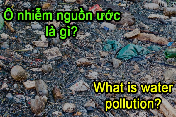Định Nghĩa Water Pollution là gì? Mẫu câu đơn giản về Water Pollution