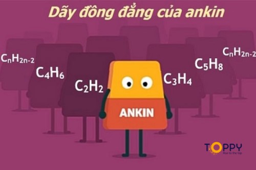 Định Nghĩa Ankin là gì? Đặc điểm cấu tạo và tính chất vật lý của Akin