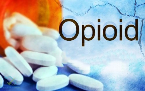 Định Nghĩa Opioid là gì? Những điều bạn nên biết về Opioid