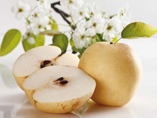 Quả lê bao nhiêu calo? Tác dụng của lê bạn đã biết chưa?