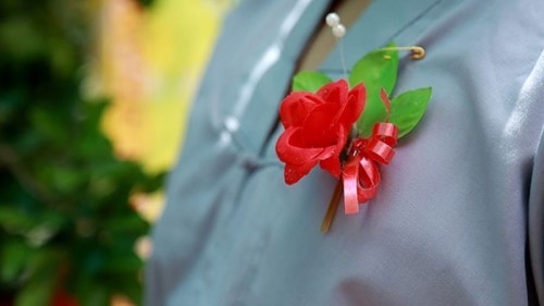 Hoa hồng cài áo ngày lễ Vu Lan báo hiếu - Nguồn gốc và ý nghĩa là gì?