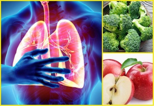 Ăn gì tốt cho  phổi? Nhóm thực phẩm giúp hệ hô hấp khỏe mạnh