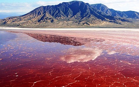 Bí ẩn hồ nước màu đỏ như máu, sinh vật nào sảy chân rơi xuống cũng lập tức "hóa đá"