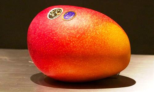 Top hoa quả đắt đỏ nhất thế giới, giá cắt cổ lên tới 1,8 tỷ đồng