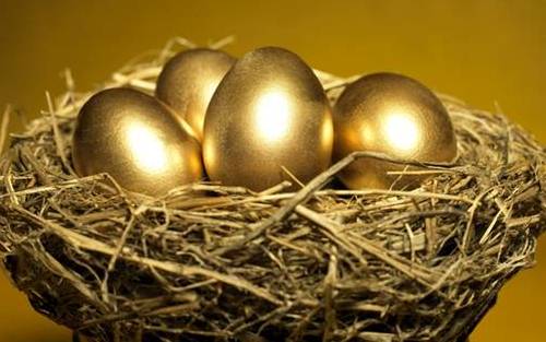 Giá trị thâm thúy học từ đàn gà mái đẻ trứng